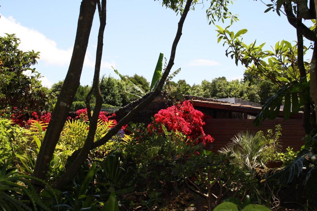 Quinta De Sao Caetano - Sao Miguel Acores Populo  Exterior photo