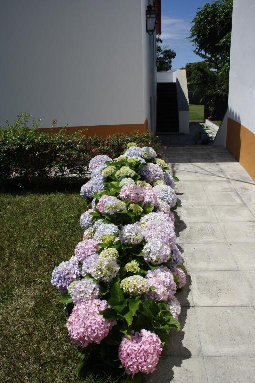 Quinta De Sao Caetano - Sao Miguel Acores Populo  Room photo